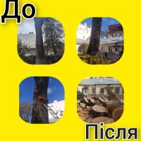 Спил дерев, валка, рубка, обрізка гілок у Чернівцях та області