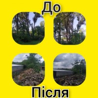 Спил дерев, валка, рубка, обрізка гілок у Чернівцях та області