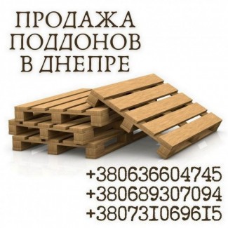 Качественные поддоны в Днепре: продажа по выгодным ценам