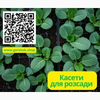 Касети для розсади капусти: оптом та в роздріб