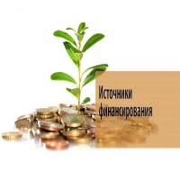 Финансовые институты / the financial institutions